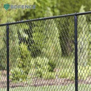 Park Trail Chain Link Fence Greenery Divider