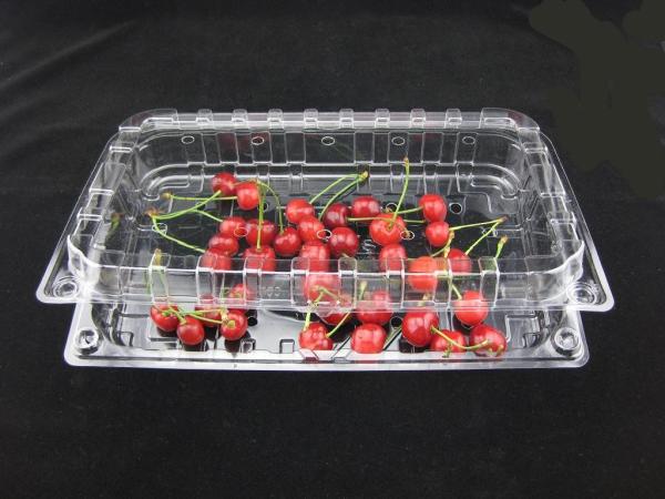Eco Friendly Disposable Clear Plastic Blister Plastic Packaging Boxes 500g