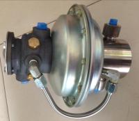 Peças sobresselentes de Copco do atlas da bomba de vácuo para o gerador diesel de Genset, 79293-11