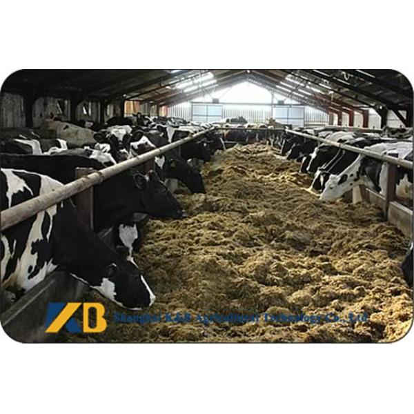 100% Pure Brown Rice Gluten Protein Powder For Animal Fish Poultry Meal