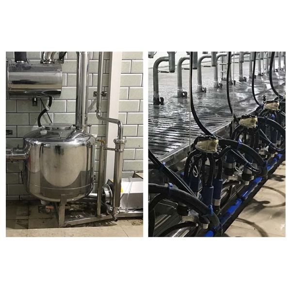 Pneumatically Drive Ratio 60/40 Small Scale Milking Parlour For Dairy Farm
