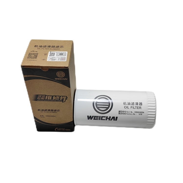 Fuel Filter Element 1000424916A for Shaanxi  Trucks
