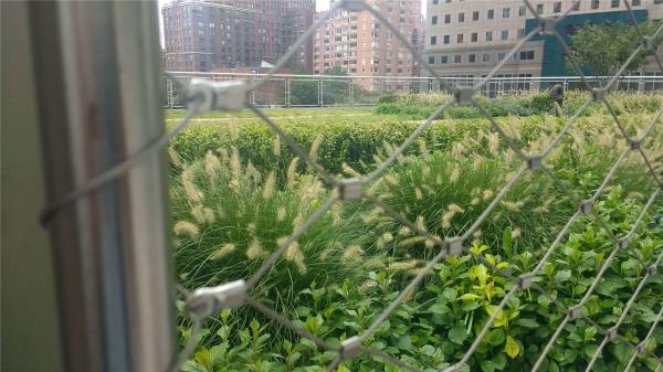 chain link temporary construction fence panels 6FT X 10F Mesh 2 3/8  x 2 3/8 ( 60mm x 60mm ) x 12 gauge wire