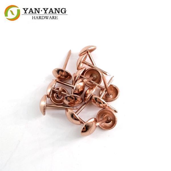 Furniture Upholstery Nail, Best Sale Sofa Nail umbrella head