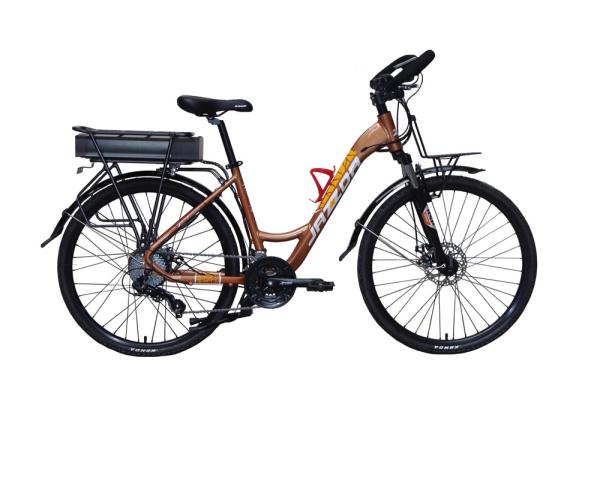 24 Speed Luxury Electric Bicycle 250W 26 Inch E Bike With 48V Lithium Battery