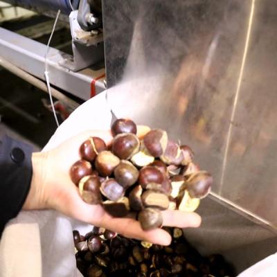 Fabricante 2 Ton/H da máquina de classificação da castanha de Inshell de 12 canais