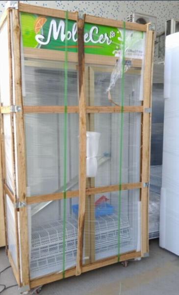 Refrigerador comercial ereto da bebida da porta de vidro para o supermercado