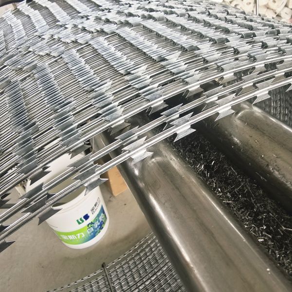 500 M Barbed Wire Galvanized Razor Wire Anti Climb Bird Protective