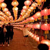 Lumière du Nouvel An chinois pour la décoration des fêtes