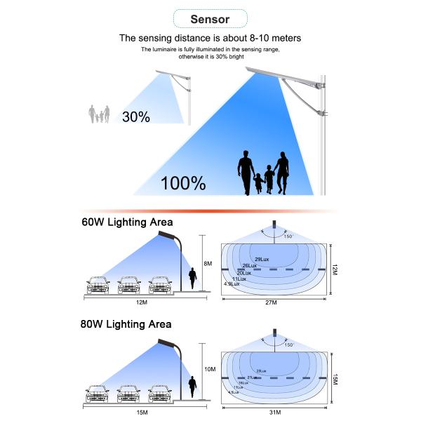 FCC Saa 60W 80W 100W LED Solar Powered Street Light Integrated 175LM/W