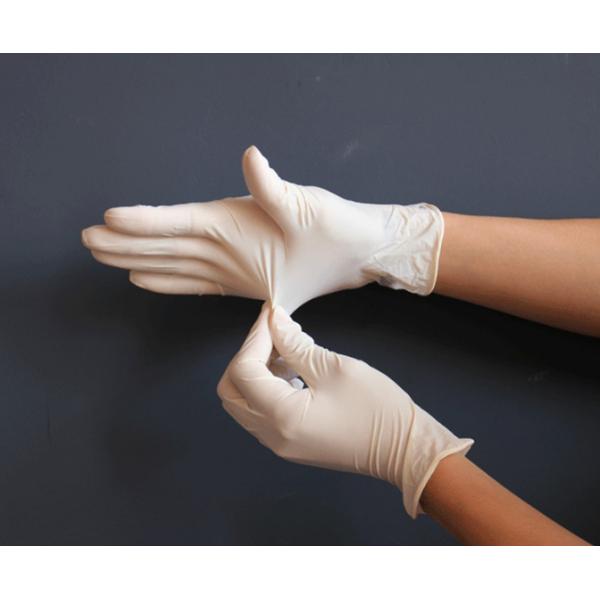 Cheapest price and superior quality Sterile Latex Surgical Glove/Medical Glove