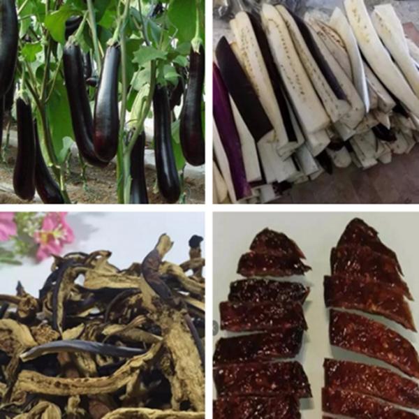 Tunnel Belt Industrial Hot Air Dryer Ginger Drying Machine Easy To Operate