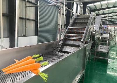 Economia de energia da fábrica de tratamento da cenoura do equipamento de processamento das frutas e legumes