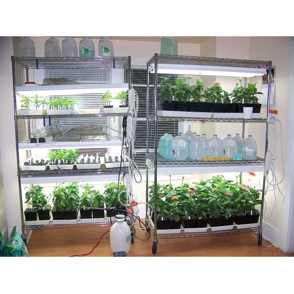 Zinc Mobile Storage Shelves For Biological Laboratory / 6 Tier Wire Rack