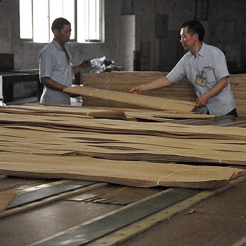 0.5mm Thickness Natural Tamo Ash Veneer For Car Interior And Musical Instrument