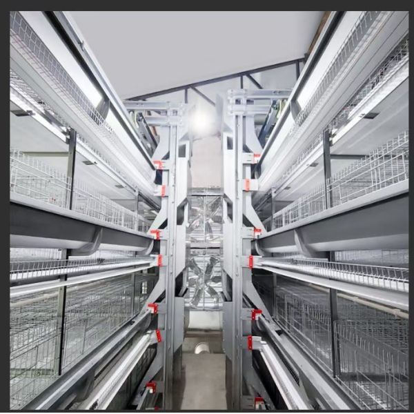 IoT Digital Management EGG CHICKEN CAGE BREEDING EQUIPMENT Horizontal Sliding Door