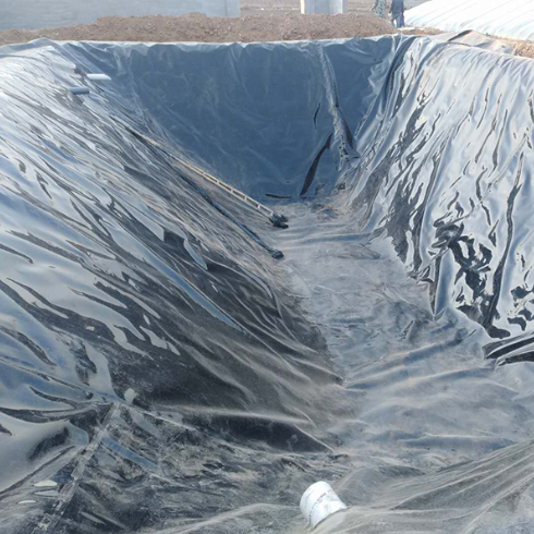 Black HDPE Geomembrane Pond Liner Sheet for Fish Farm Waterproofing
