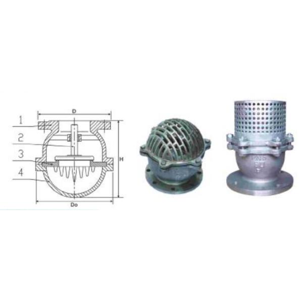Stainless Steel PN16 Water Flanged Foot Valve With Strainer 2 Inch