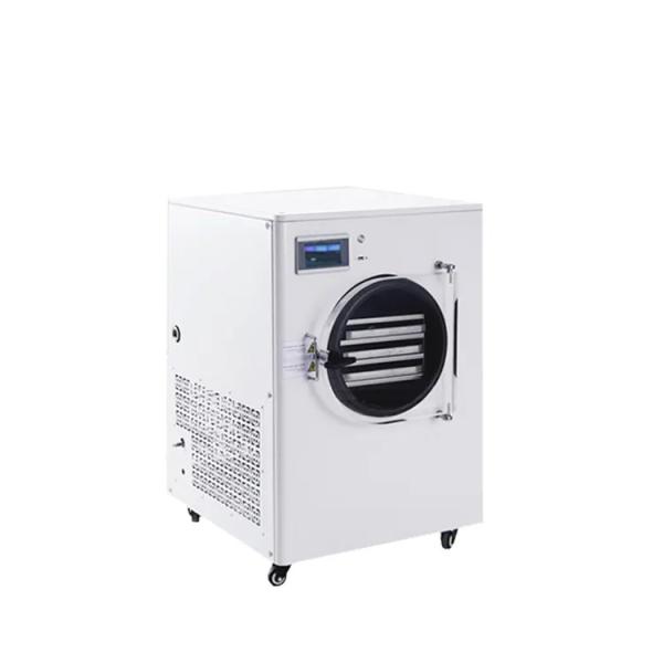 Brand New Machine Home Use Freeze Dryer With High Quality