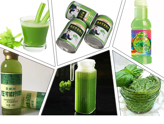 Línea de transformación vegetal de la seguridad equipo de proceso estable del apio del funcionamiento