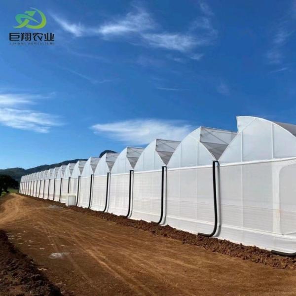 Estufas de luz solar, hidroponia, folha de plástico, para exploração agrícola