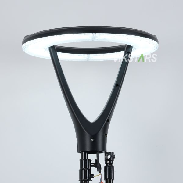 100W New Garden Lights 2 Years Warranty 100lm/w Cheap Price For Wholesale