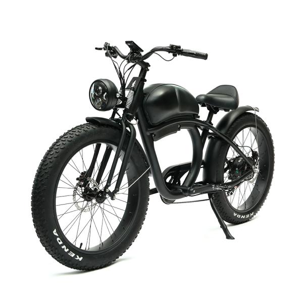 Long Range 48V 750W Rear Hub Motor Electric Motorbike with 48V 20Ah Lithium Battery