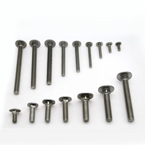 Stainless steel carriage screws