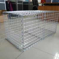 Fil Mesh Gabion de Hot Galvanized Welded 2mm de barrière