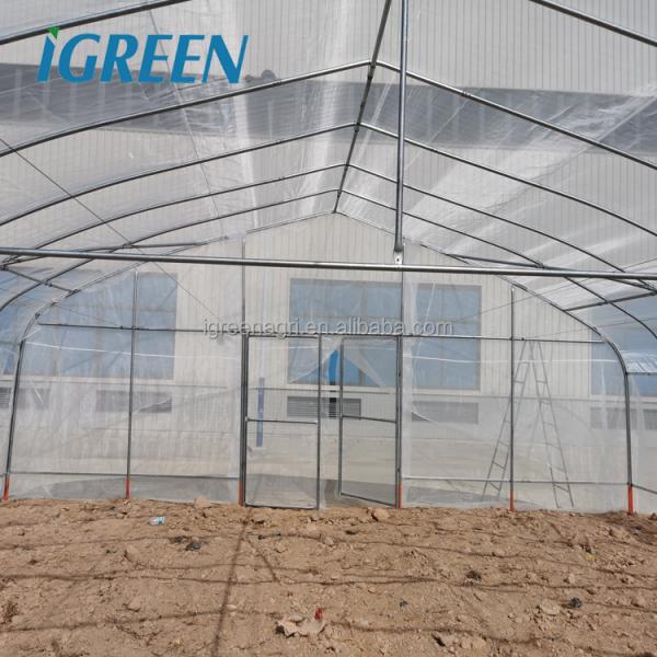 Low Cost China Wholesale Tunnel Greenhouse For Year Round Crop Growth And Resource Management