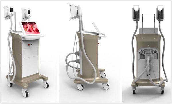 The newest cryolipolysis slimming machine for clinic & spa