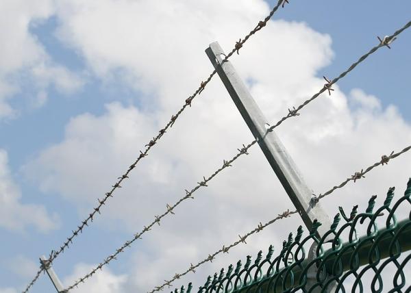 14ga Stainless Steel Protection Barbed Wire Fence Electro Galvanized