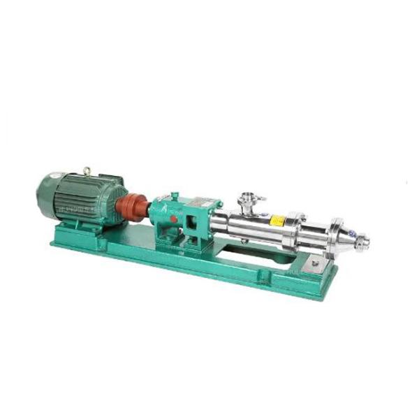 Sanitary Screw Pump Mechanical Seal Hygienic Screw Pump With VFD Frequency Inverter