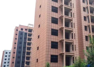 Inorganic Decorative Stone Texture Wall Paint Anticorrosive MSDS Certificate
