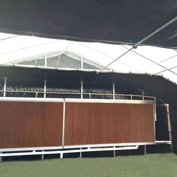 Auto Blackout Greenhouse 100% Light Deprivation UV Guarantee Blackout Curtain