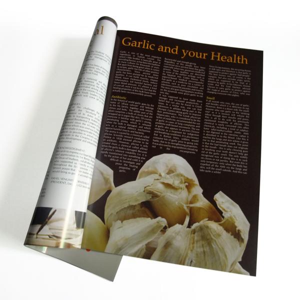 Papier blanc de carte, blanc avec le papier gris de carton, magazines du commerce d'impression de papier spécial