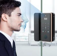 Office Tuya App Fermeture de porte sans fil Biométrique haute sécurité mot de passe Fermeture de porte en verre