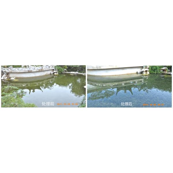 Бактериологические отравляющие вещества очистки сточных вод отростчатые, бактерии в очистке сточных вод