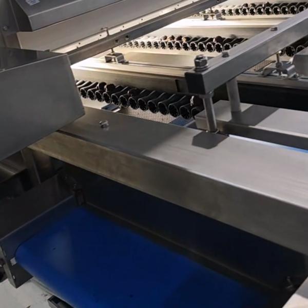 High-capacity Dates Sorting Machine With Industrial Camera, 8 lanes+10 outlets, Advanced Deep-learning, 2.6 Tons per hour