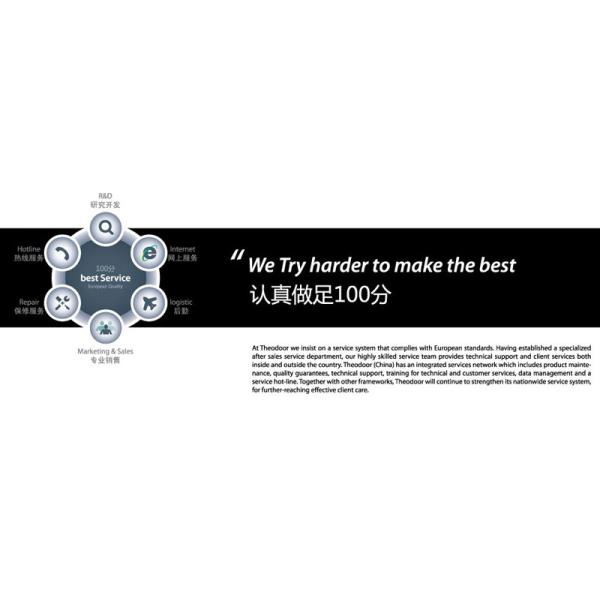 Guangzhou Theodoor Technology Co., Ltd.