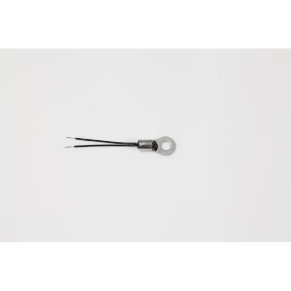 NTC Thermistor-Probe Assembly with Ring Lug