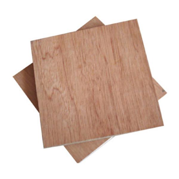 Furniture Making Wear Resistant 5mm Bintangor Plywood