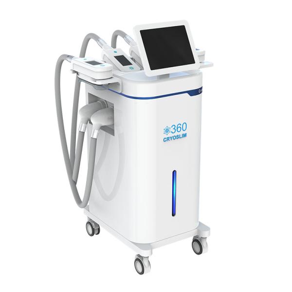 2022 Professional Weight Loss Body Sculpting 4 Handles 360 Cryolipolysis Fat Removal machine