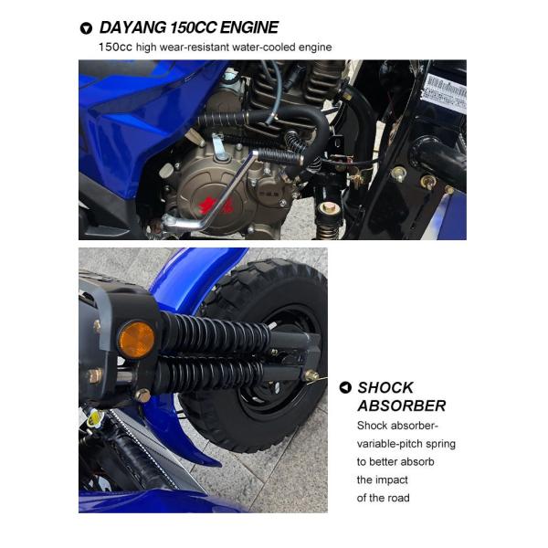 2021 Rear Spring Leafs 4 2 320 *80 Citycoco Электрический скутер Трициклы для взрослых