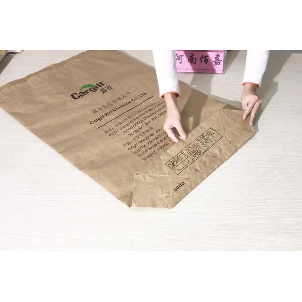 Powder Packaging Solutions Multiwall Kraft Paper Bags Custom Printed Sizes