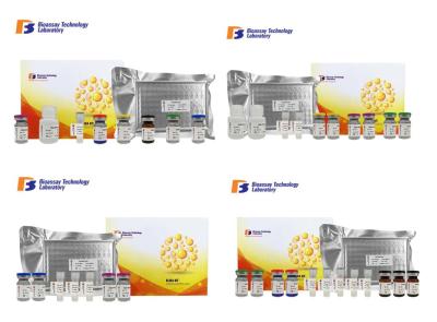 High Precision Canine ELISA Kits Vasoactive Intestinal Peptide With 2 Hours Assay Time