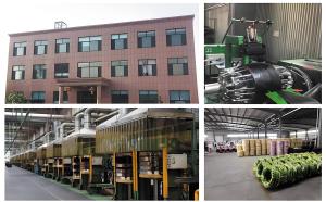 Chongqing Ruisi Laifu Tire Co., Ltd.