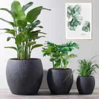 El plantador moderno del pote del MGO de Clay Flower Pots Patio Planters de los plantadores fijó a Grey Planters para el exterior