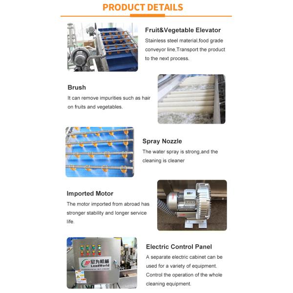 380В линия для мытья овощей и зеленый перец Чили очистительная машина