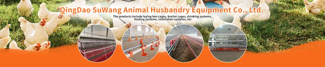Automatic Poultry Farm Chicken Broiler Cage for Poultry Farming
